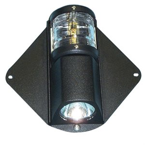 Victory Economical LED steaming and Halogen deck light