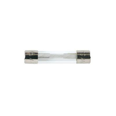 Ancor Fuses AGC 20A (5)