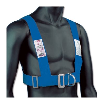 Victory Products Child safety harness